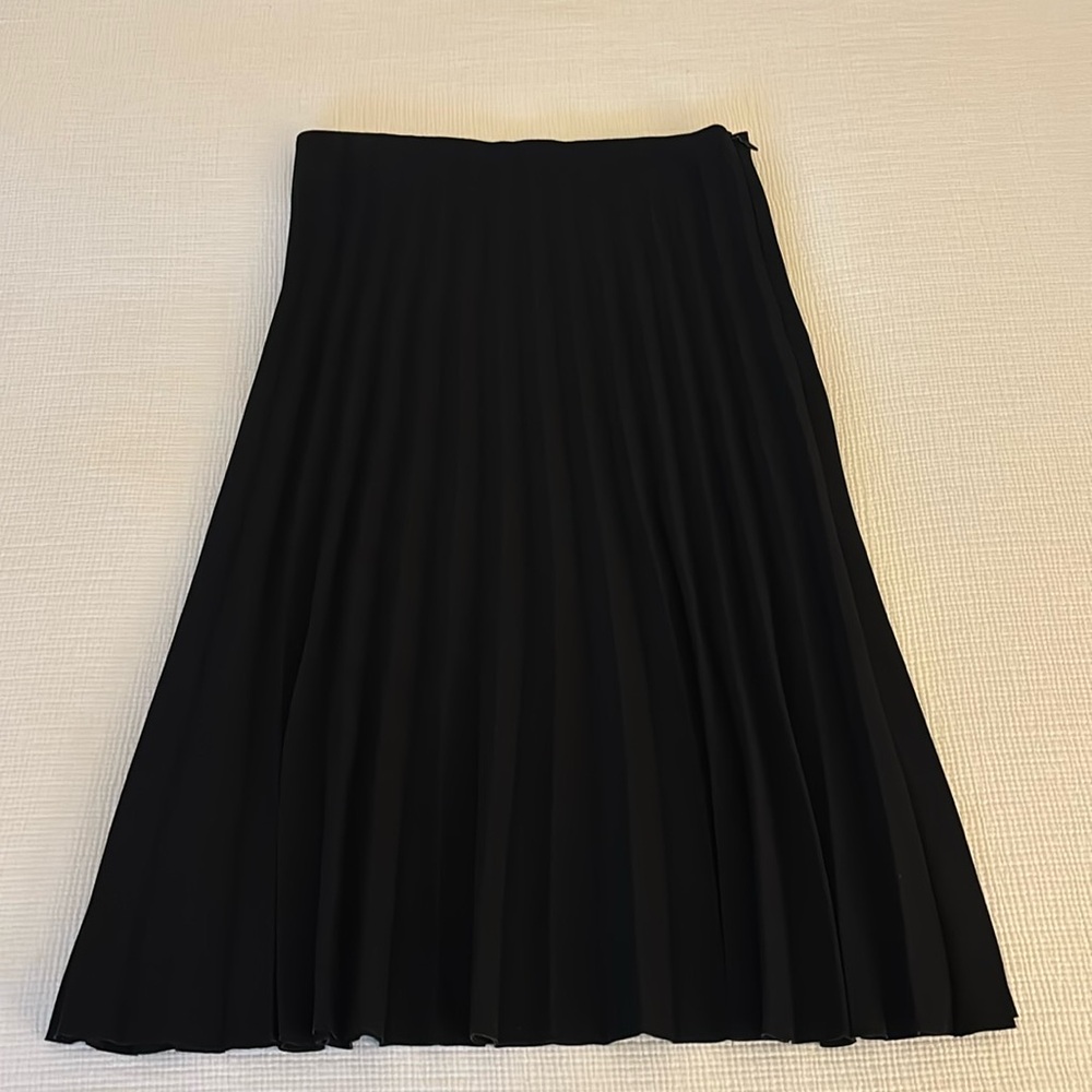 Everlane Black Pleated Skirt